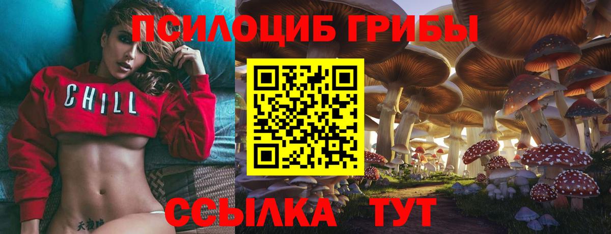 Реж  Галлюциногенные грибы мухоморы  Галлюциногенные грибы Magic Shrooms  Вход с VPN 